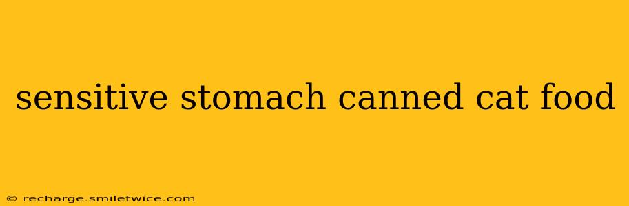 sensitive stomach canned cat food