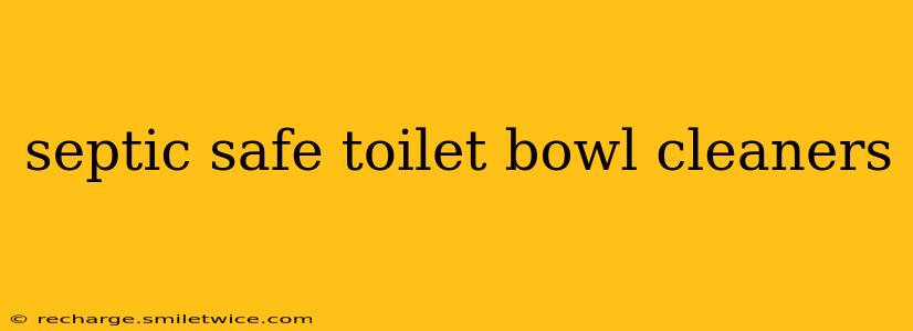 septic safe toilet bowl cleaners