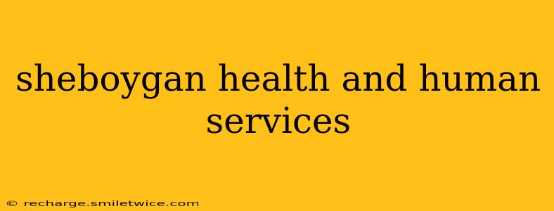 sheboygan health and human services