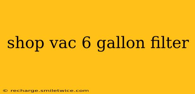shop vac 6 gallon filter