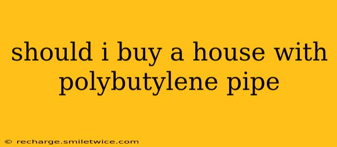 should i buy a house with polybutylene pipe