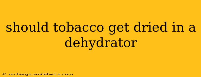 should tobacco get dried in a dehydrator