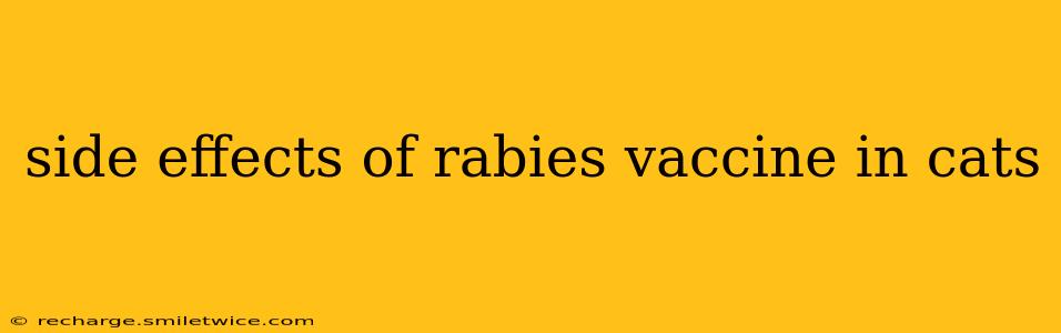 side effects of rabies vaccine in cats