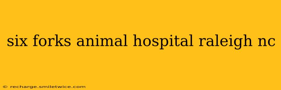 six forks animal hospital raleigh nc