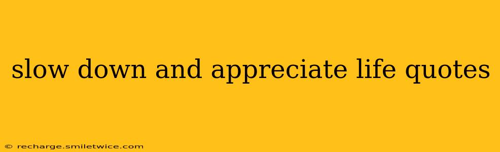slow down and appreciate life quotes