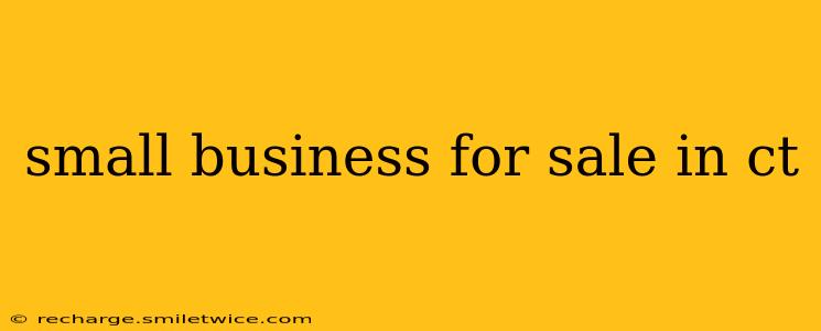 small business for sale in ct