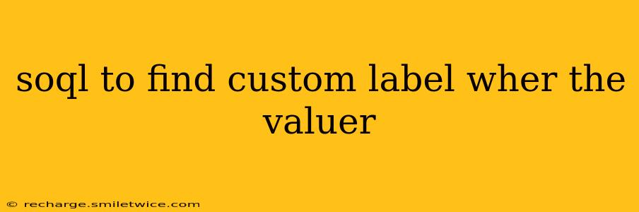 soql to find custom label wher the valuer