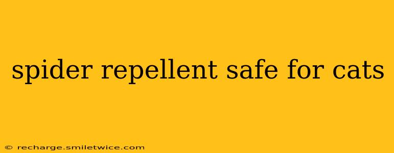 spider repellent safe for cats