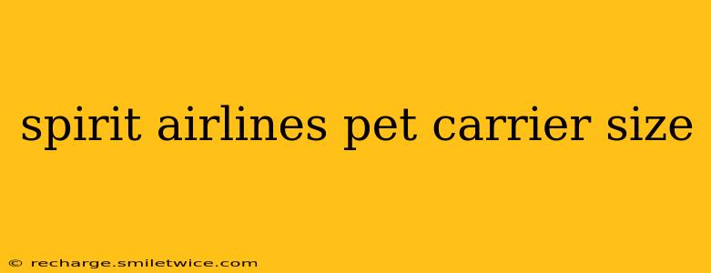 spirit airlines pet carrier size