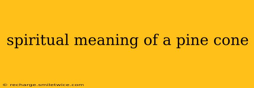 spiritual meaning of a pine cone