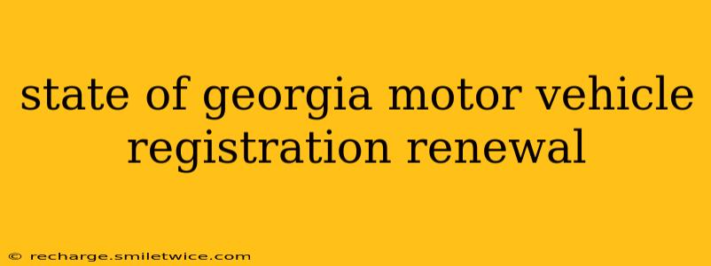 state of georgia motor vehicle registration renewal