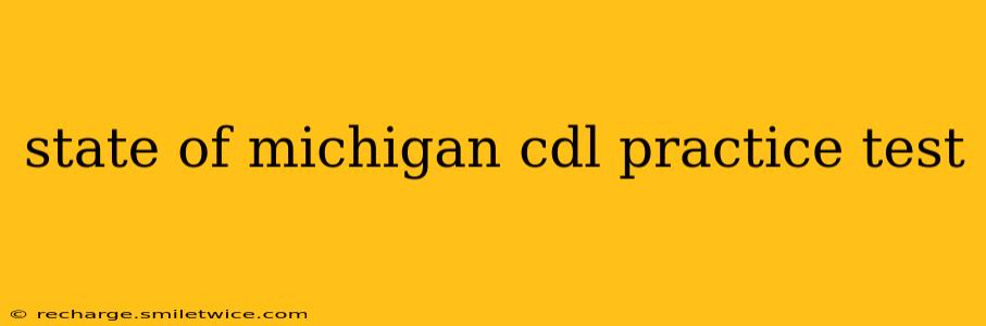 state of michigan cdl practice test