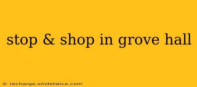 stop & shop in grove hall