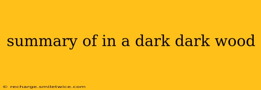 summary of in a dark dark wood