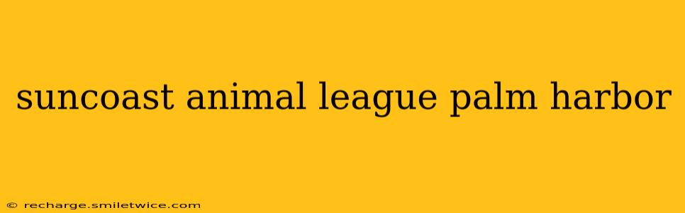 suncoast animal league palm harbor