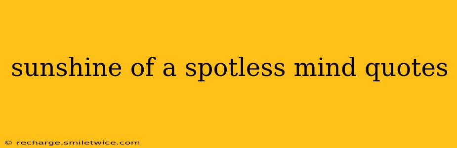 sunshine of a spotless mind quotes