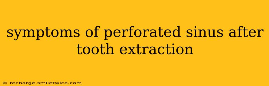 symptoms of perforated sinus after tooth extraction
