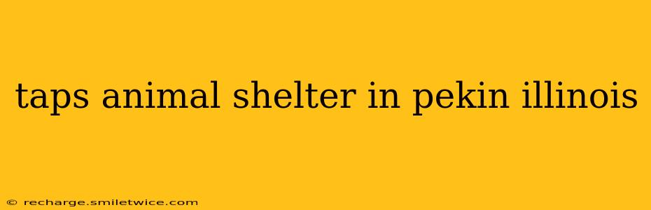 taps animal shelter in pekin illinois