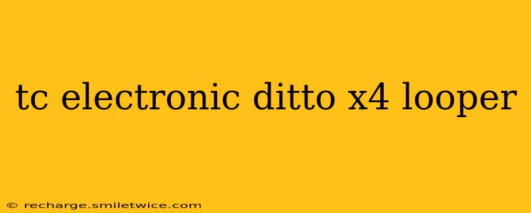 tc electronic ditto x4 looper