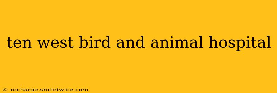 ten west bird and animal hospital