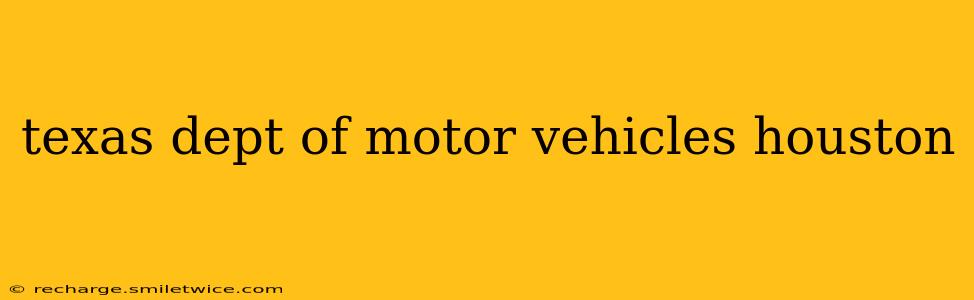 texas dept of motor vehicles houston