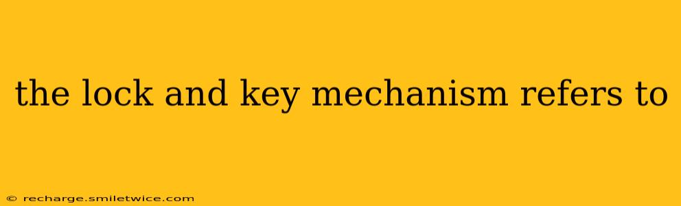 the lock and key mechanism refers to