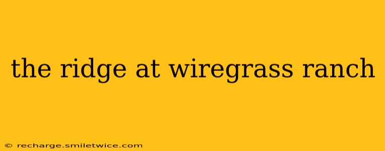the ridge at wiregrass ranch