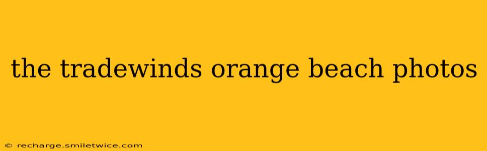 the tradewinds orange beach photos
