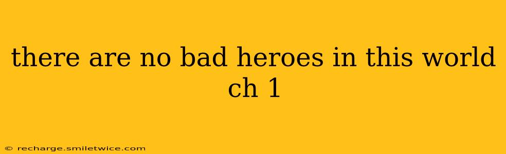 there are no bad heroes in this world ch 1