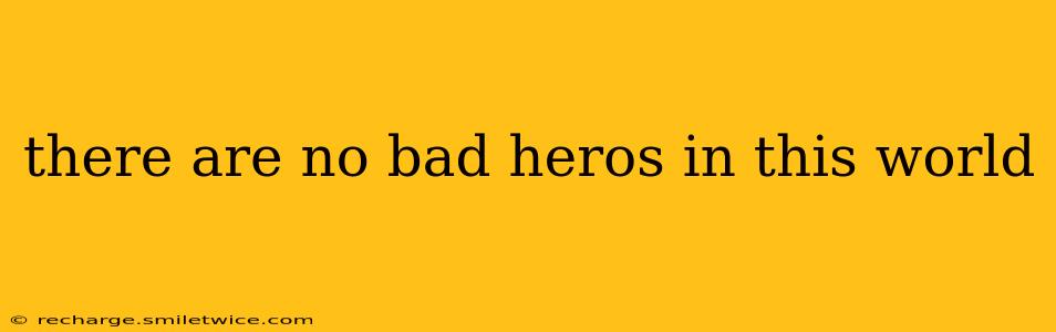 there are no bad heros in this world