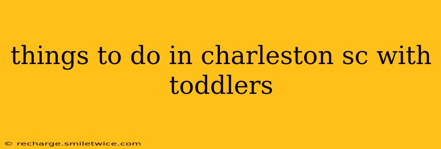 things to do in charleston sc with toddlers