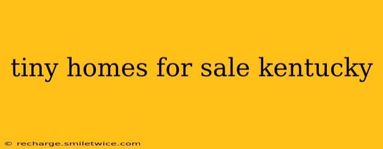 tiny homes for sale kentucky