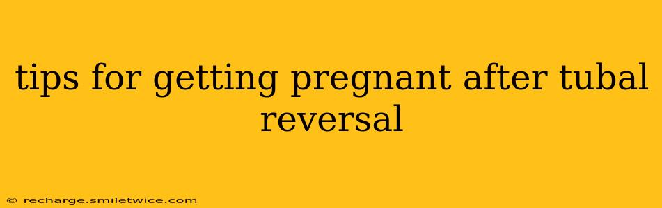 tips for getting pregnant after tubal reversal