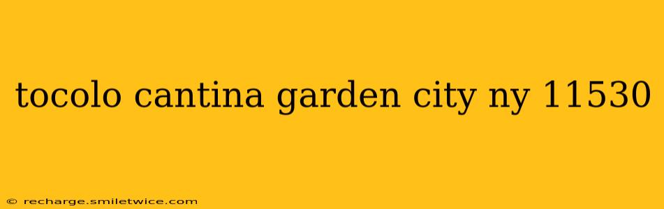 tocolo cantina garden city ny 11530