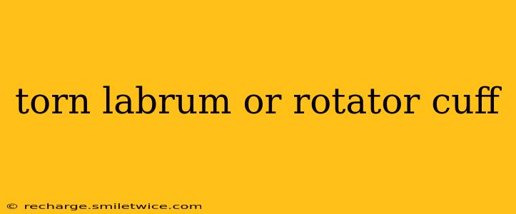 torn labrum or rotator cuff
