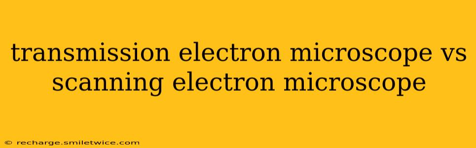 transmission electron microscope vs scanning electron microscope
