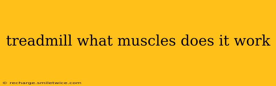 treadmill what muscles does it work
