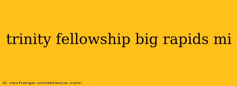 trinity fellowship big rapids mi