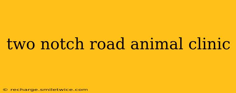 two notch road animal clinic