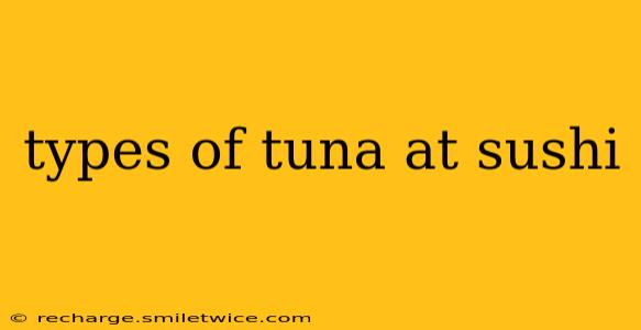 types of tuna at sushi