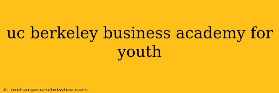 uc berkeley business academy for youth
