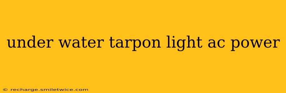 under water tarpon light ac power