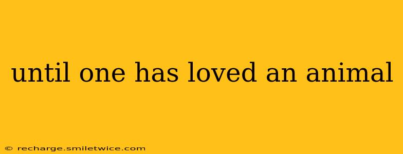 until one has loved an animal