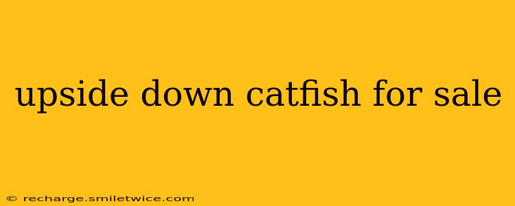 upside down catfish for sale