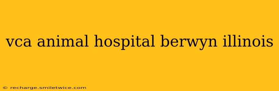 vca animal hospital berwyn illinois