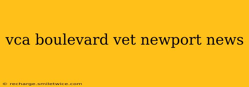 vca boulevard vet newport news