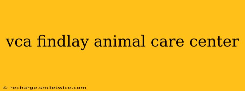 vca findlay animal care center