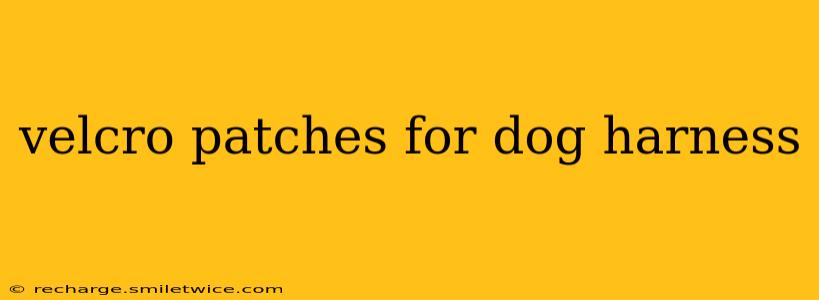 velcro patches for dog harness
