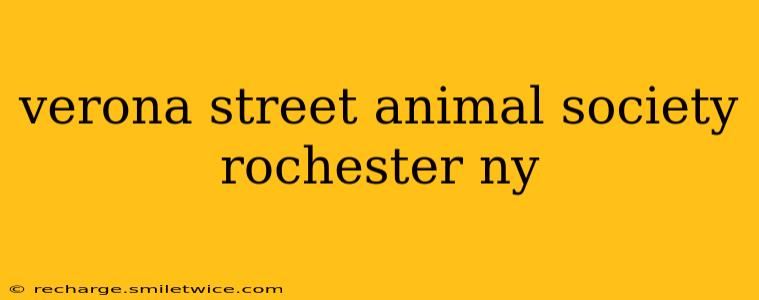 verona street animal society rochester ny