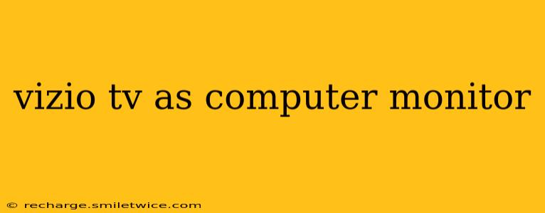 vizio tv as computer monitor